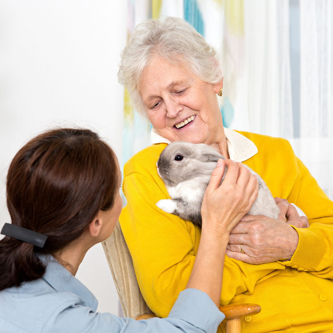 Dementia care (5) senior with pet