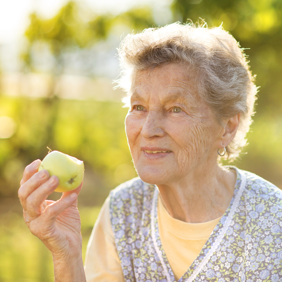 Recipes for Seniors Quinoa