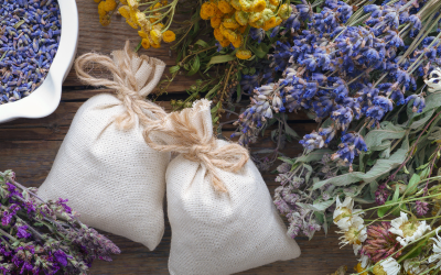 Citrus & Herb Sensory Sachets – A Scented Summer Craft for Seniors