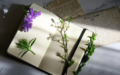 Nature Collage Journals – A Creative Outdoor Craft for Seniors