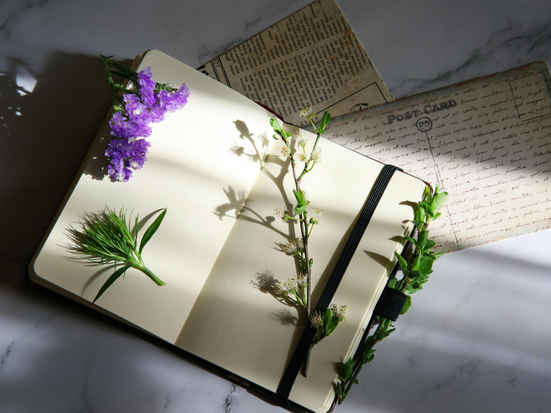 Nature Collage Journals – A Creative Outdoor Craft for Seniors