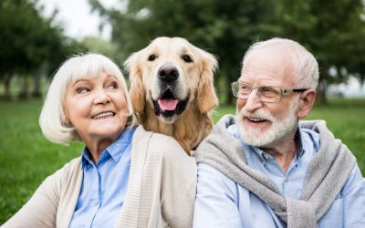 Pet therapy moments—bringing smiles and comfort to seniors