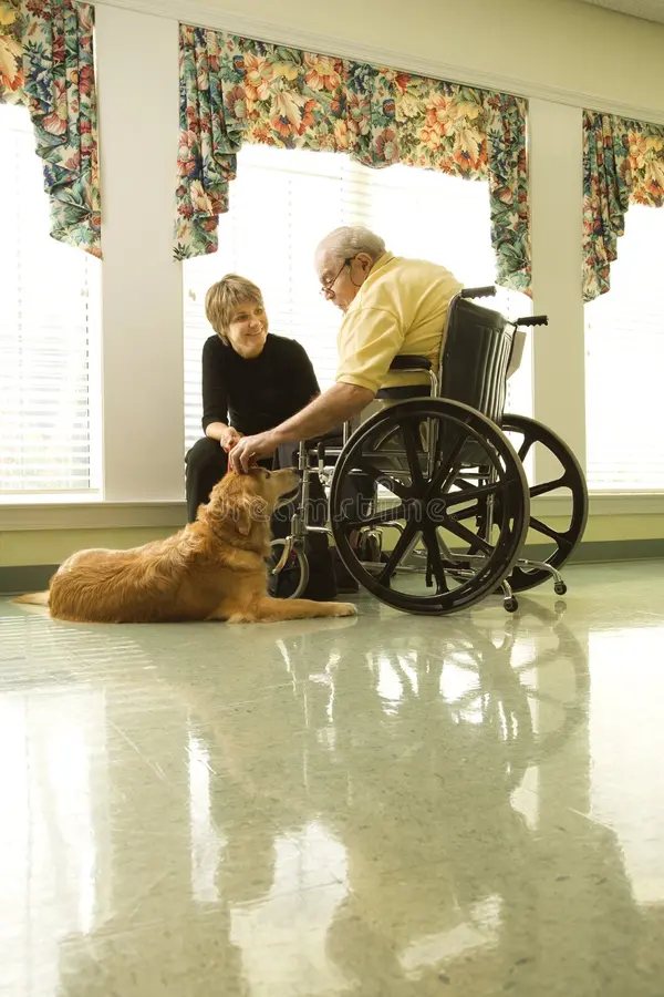 elderly in wheelchair petting a dog
