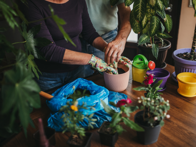 indoor gardening