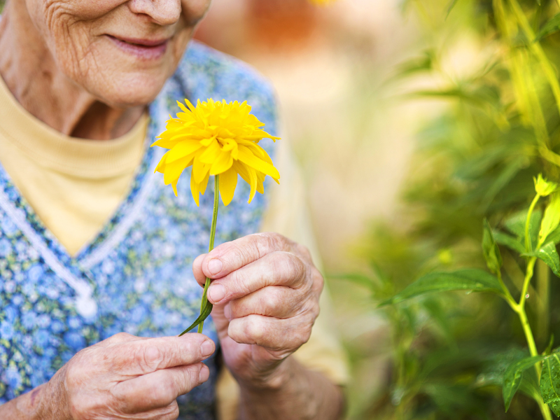 Blog Headers (11) elderly women smelling a flower