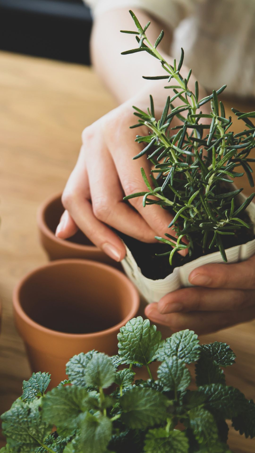 indoor gardening