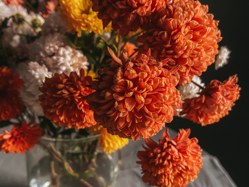Fall Flower