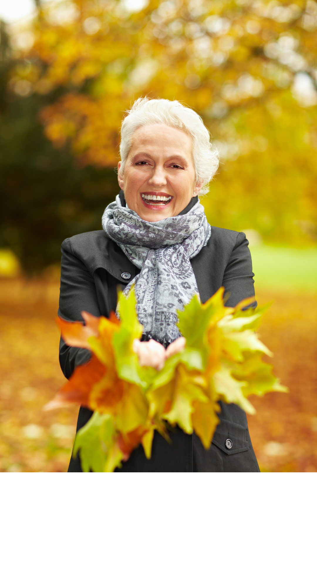 IDC 4U instagram stories (10) senior collecting leafs